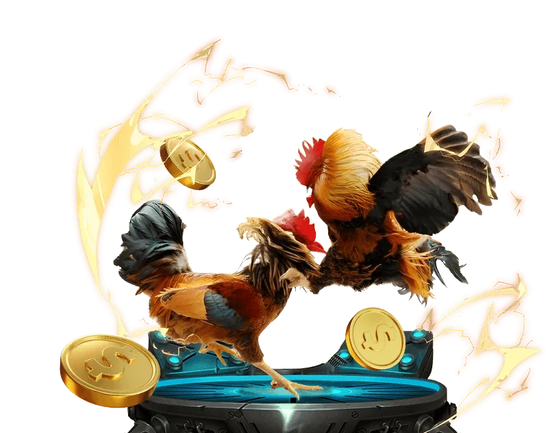 Các loại hình đá gà tại Sodo79